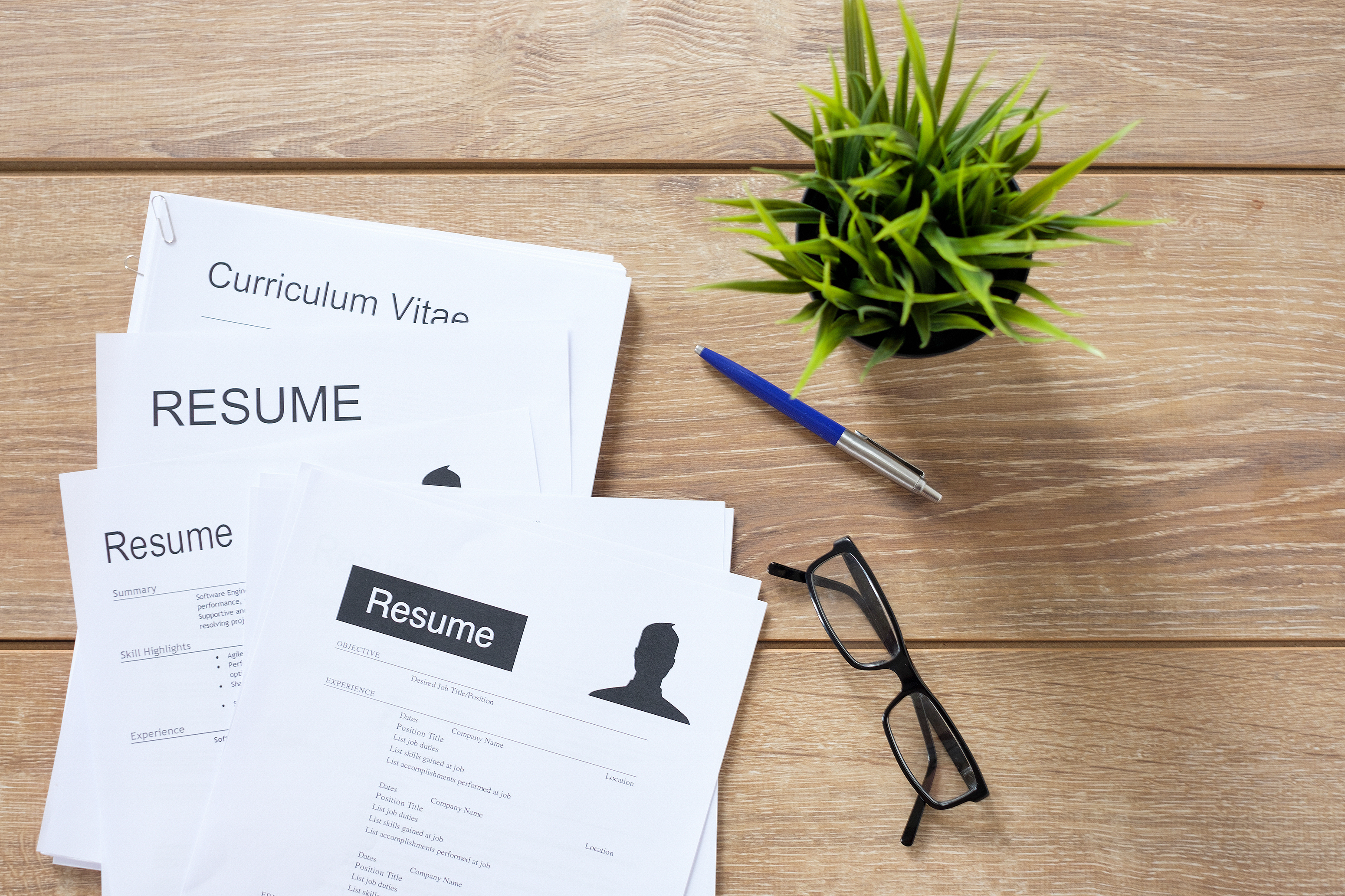 Resume Writing Skills for IT employees