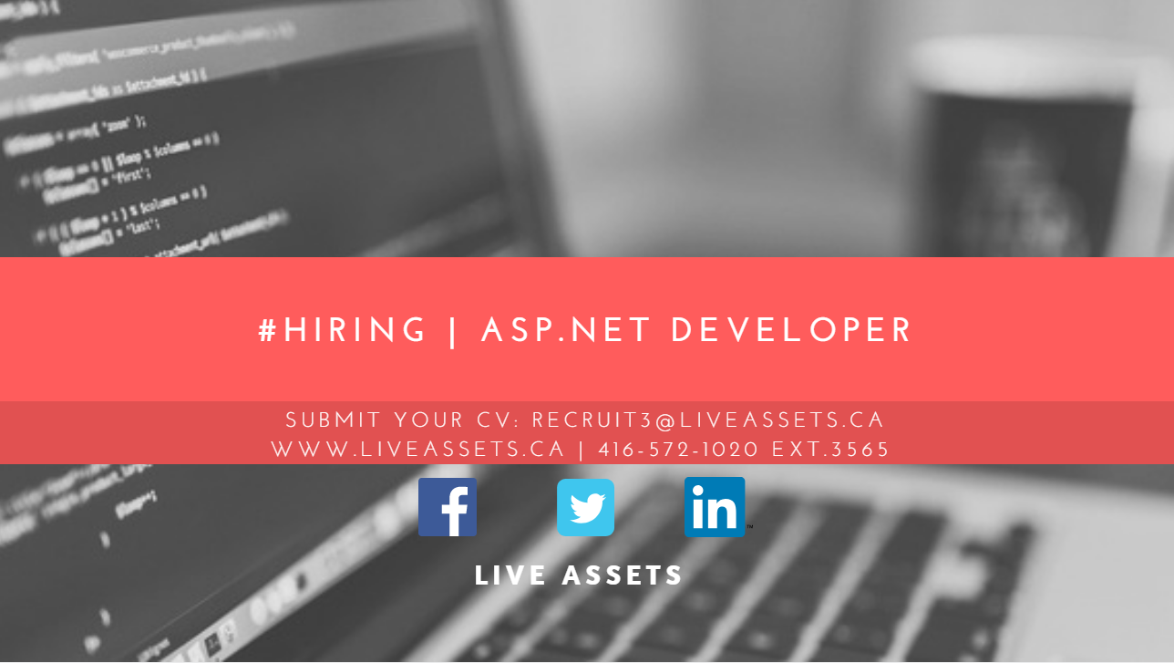 asp net backend developer