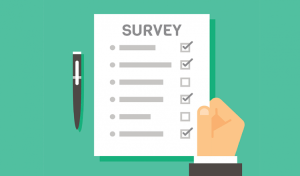 The February Labour Survey: Employment Rates, Wages and Diversity